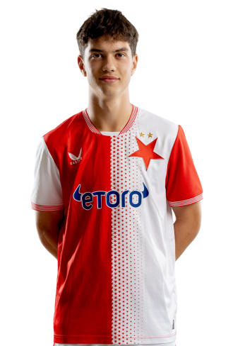 Potměšil