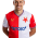 Holeš