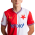 Kolísek